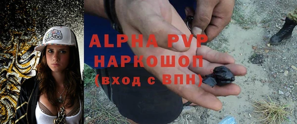 стафф Алзамай
