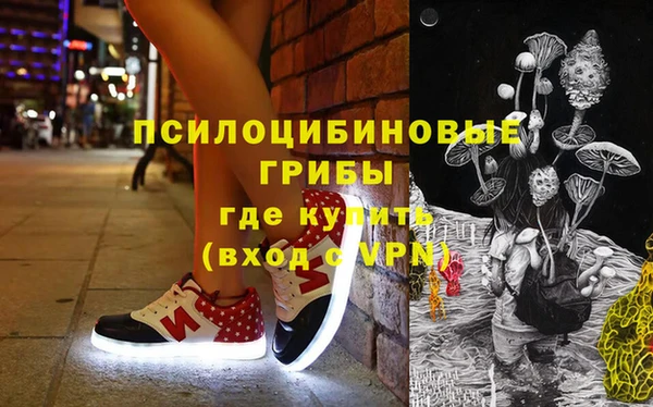 стафф Алзамай
