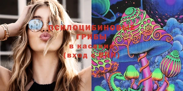 стафф Алзамай